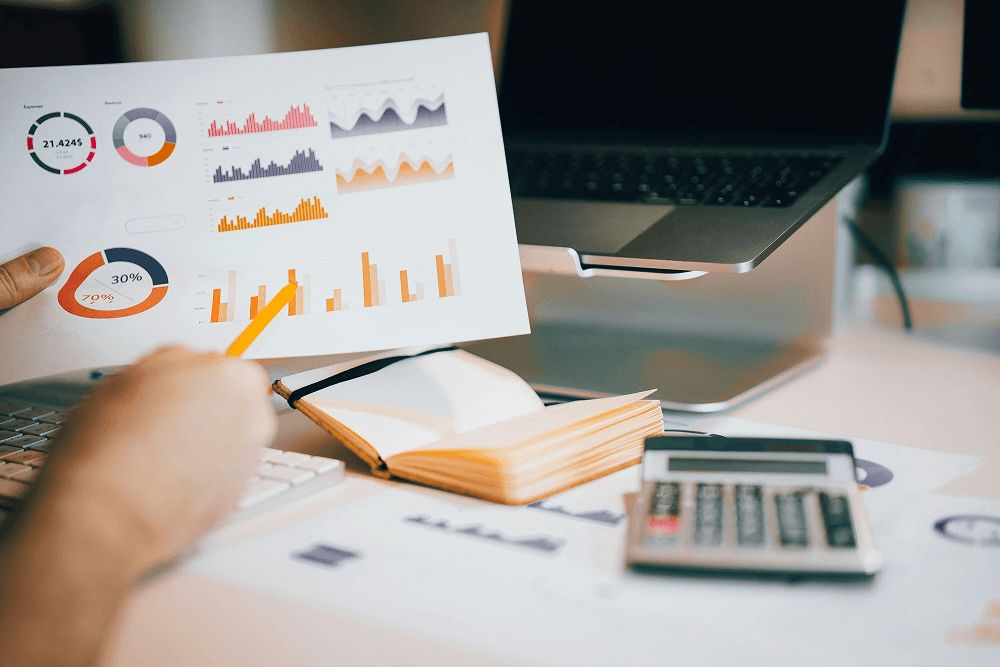 Junior Data Analyst