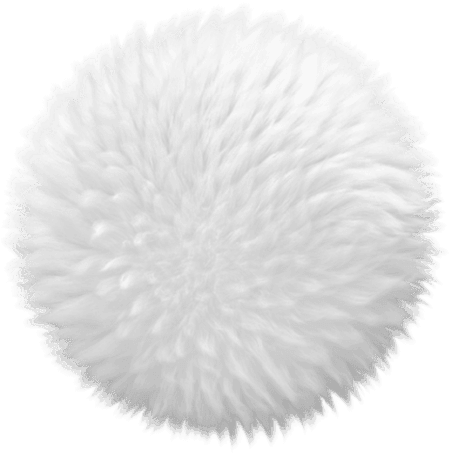 w-full h-full object-cover object-center